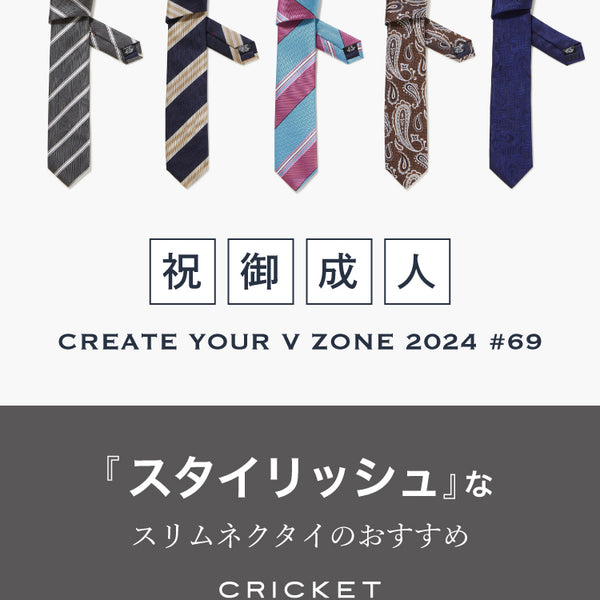 CREATE YOUR V ZONE 2024 #69「スタイリッシュ」なスリム