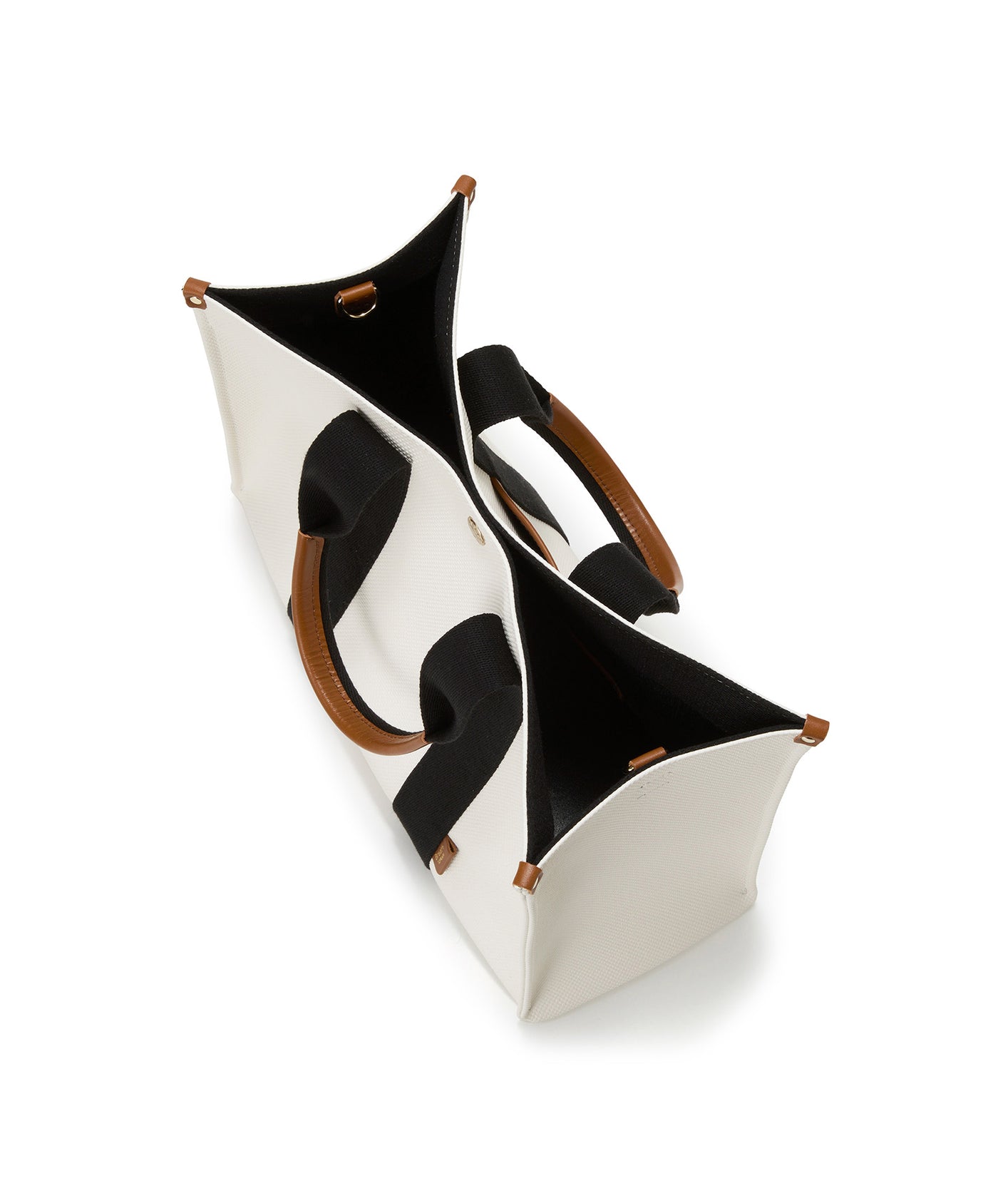 カメレオン キャンバス 25 サンダーボルト CJ NELSON DESIGNS サーフボード CHAMELEON